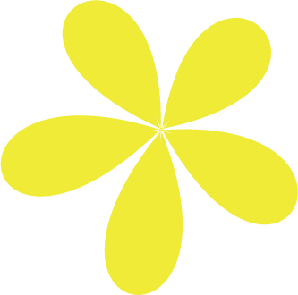 活动介绍